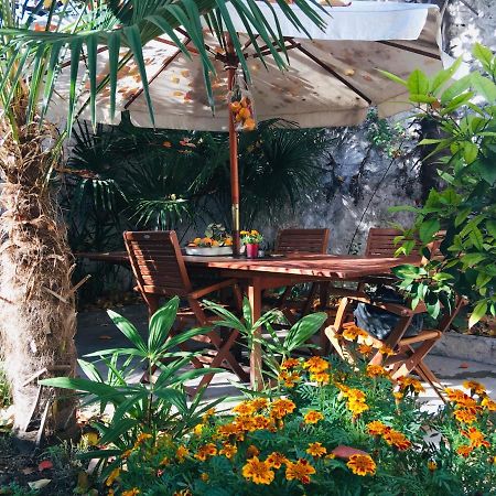 Palmera Mostar Exteriér fotografie