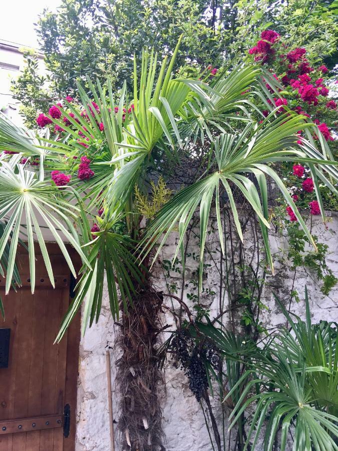 Palmera Mostar Exteriér fotografie