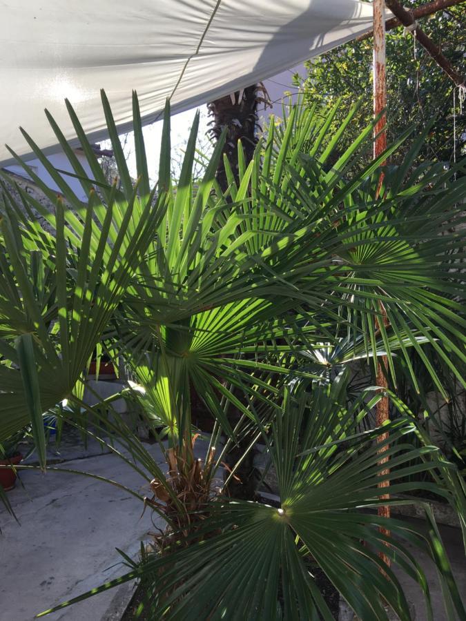 Palmera Mostar Exteriér fotografie