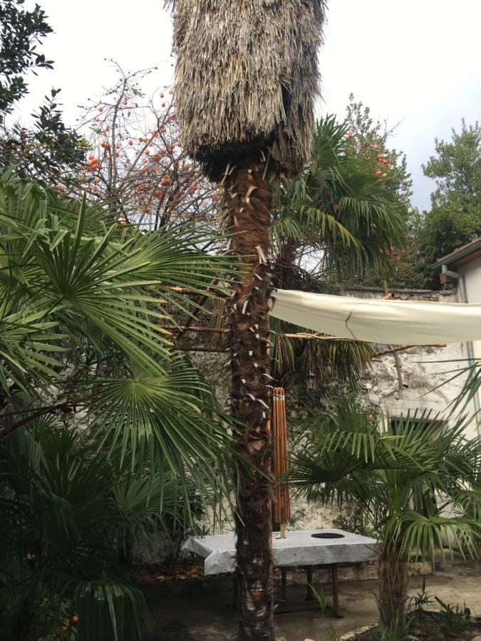 Palmera Mostar Exteriér fotografie