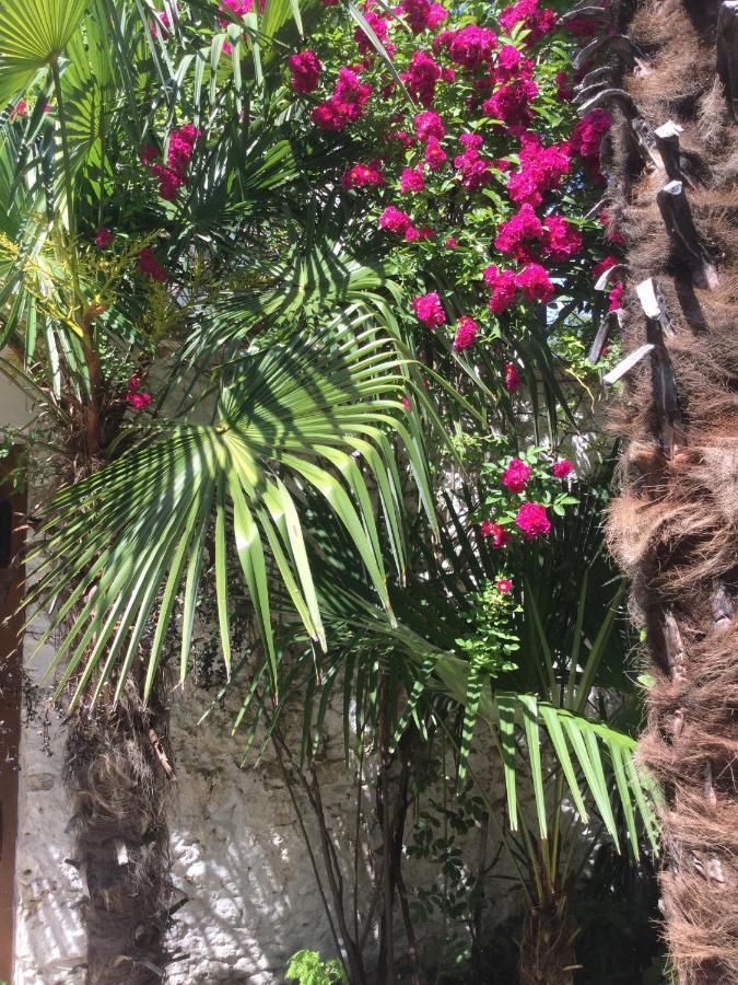 Palmera Mostar Exteriér fotografie