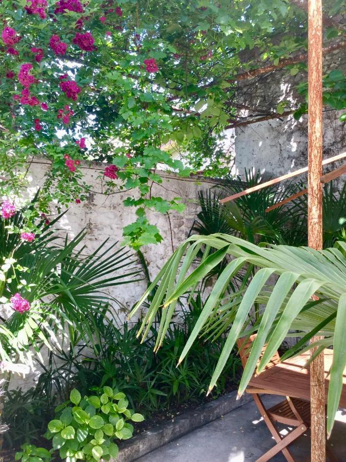 Palmera Mostar Exteriér fotografie