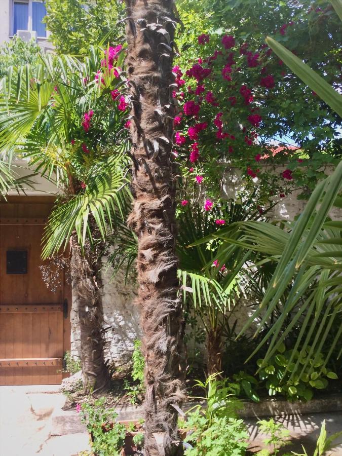 Palmera Mostar Exteriér fotografie